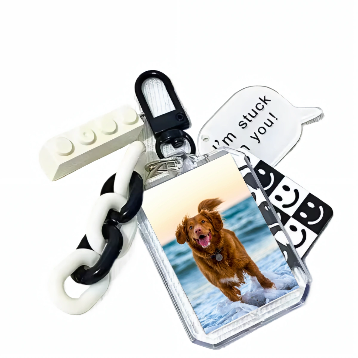 Personalized Pet Photo Keychain, Custom Dog & Cat Picture Key Ring